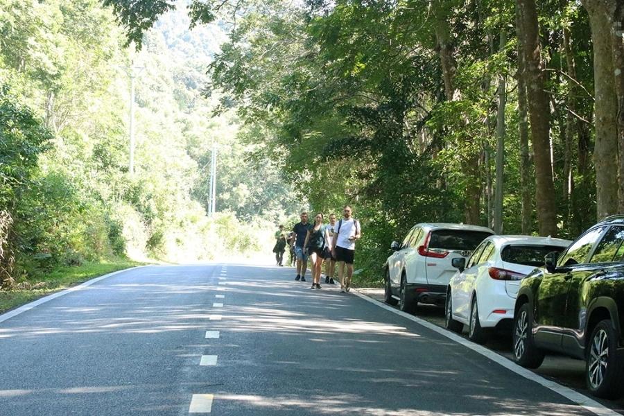 Les touristes marchent sur la route à travers le parc national de Cat Ba pour profiter de l'air frais et observer une flore et une faune rares.