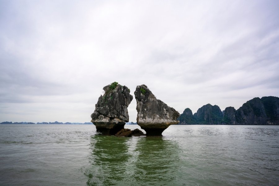 Le rocher Hon Trong Mai à Halong, en forme de coqs combattants, émergeant des eaux turquoise.