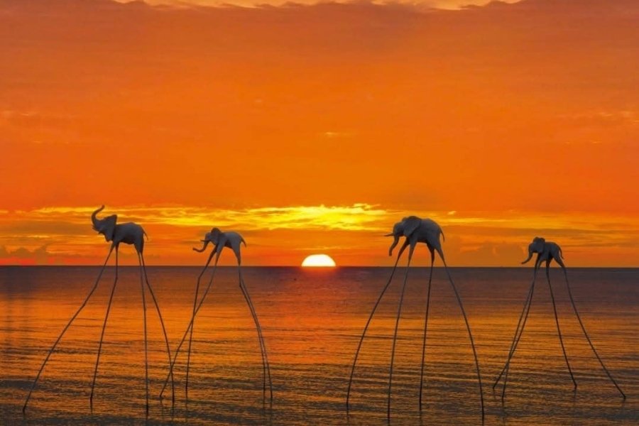 Sculptures en bois flotté au Sunset Sanato Beach Club à Phu Quoc, avec le soleil couchant.
