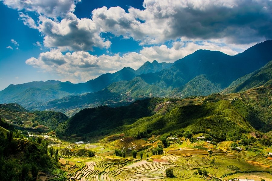 Rizières en terrasses a Sapa sous un ciel bleu, avec des champs verdoyants et des montagnes en arrière-plan, un des meilleurs paysages de Sapa.