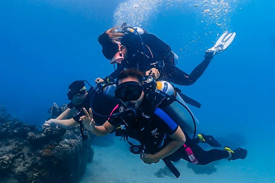 Plongeur explorant les récifs coralliens de Koh Tao, un site emblématique pour la plongée en Thaïlande.